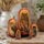 Great Horned Owl and Barn Owl nesting dolls, a set of five Russian Matryoshka dolls on a rustic wooden table