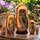 Chouettes et hiboux peints à la main sur une matriochka russe en bois, présentée sur une table en bois dans un jardin fleuri.